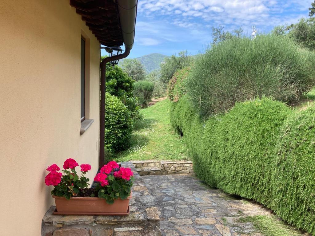 Agriturismo Cima Alla Serra Buti Luaran gambar