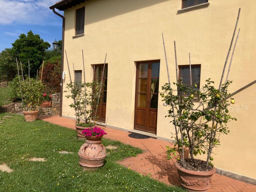 Agriturismo Cima Alla Serra Buti Luaran gambar