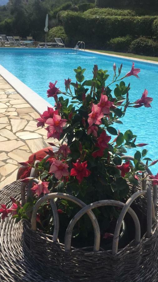 Agriturismo Cima Alla Serra Buti Luaran gambar